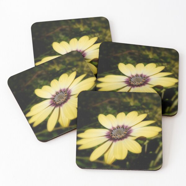 Item preview, African Daisy designed and sold by Richard Ion.