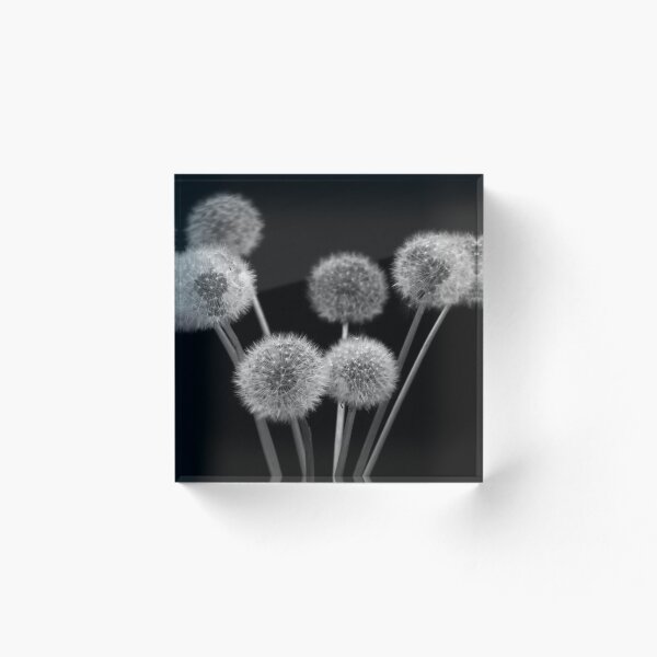 Item preview, Dandelion Bunch  designed and sold by redbubbledave22.