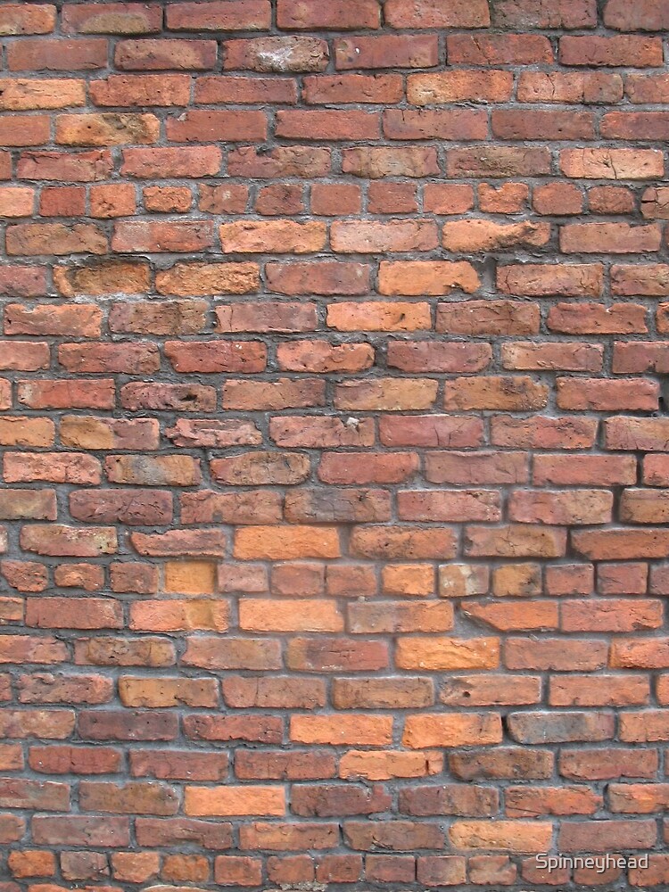 Bricks by Spinneyhead