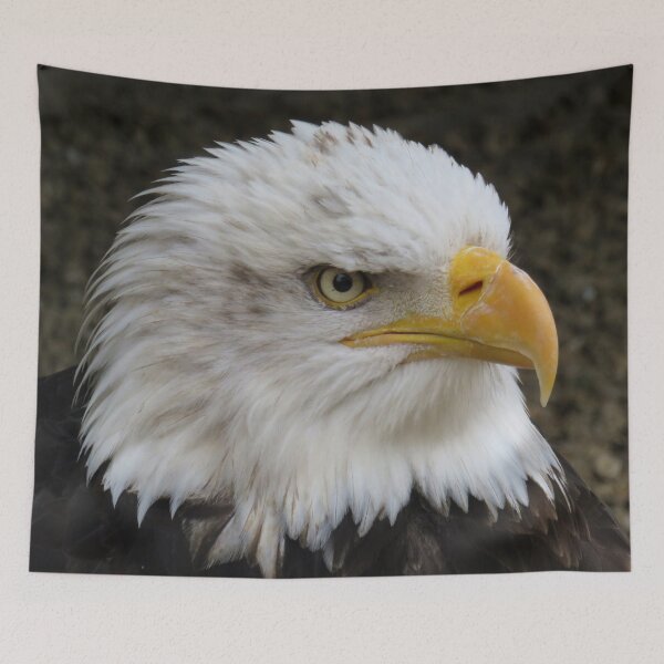 Item preview, Profile of American Bald Eagle designed and sold by PPFImages.