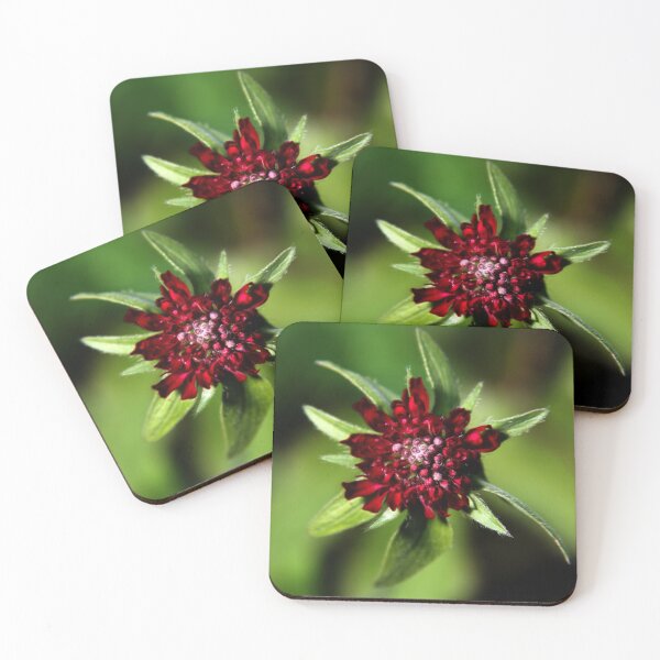 Item preview, Red budding flower designed and sold by redbubbledave22.