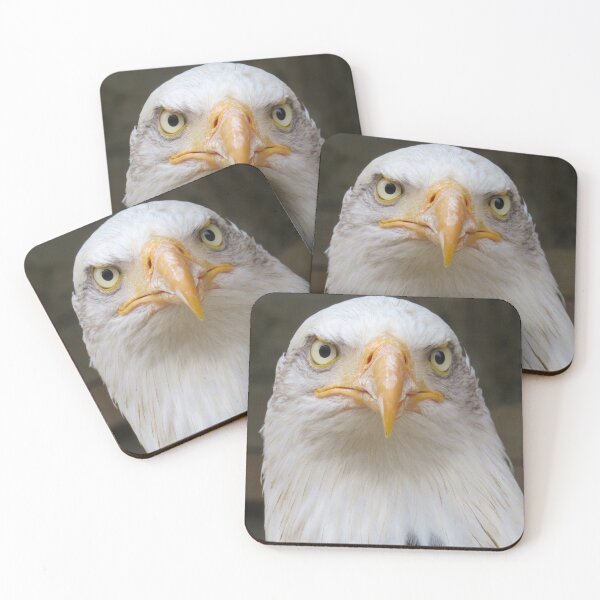 Item preview, Getting the evil eye from a Bald Eagle designed and sold by PPFImages.