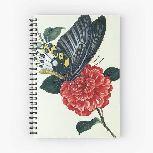 Item preview, Ornithoptera priamus designed and sold by minimalcinema.