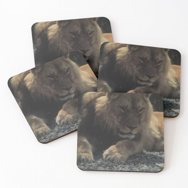 Item preview, León designed and sold by DaneK49.