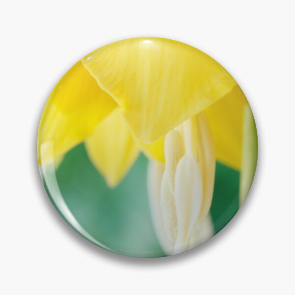 Item preview, Fritillaria imperialis  'Maxima Lutea'  AGM  Crown imperia designed and sold by Chris Burrows.