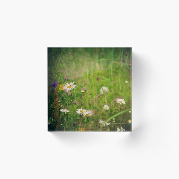 Floral nature Acrylic Block