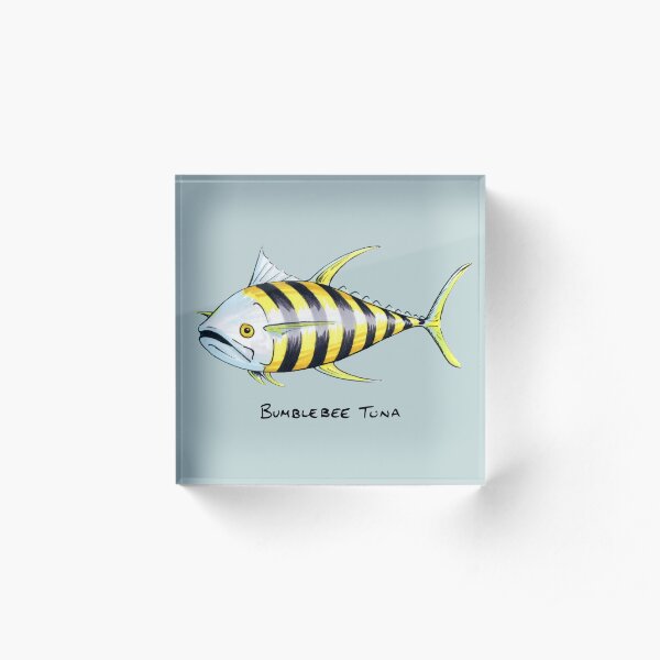 Bumblebee Tuna Acrylic Block