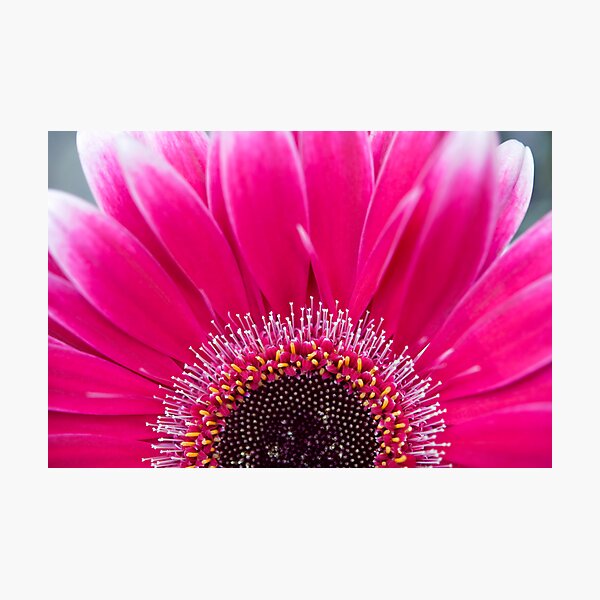 Photographic Print
