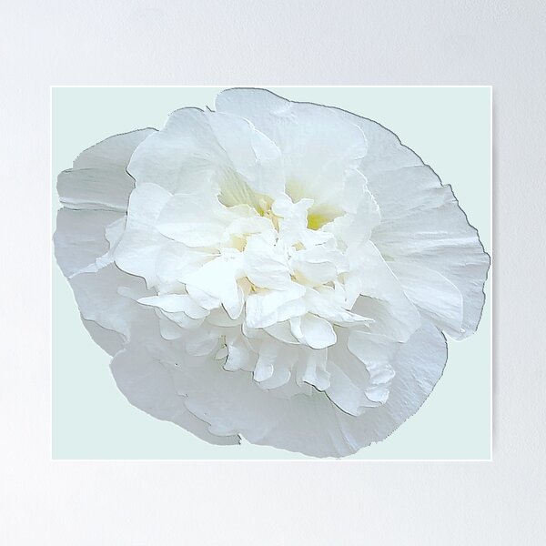 Item preview, White flower in relief. designed and sold by Robert Elfferich.