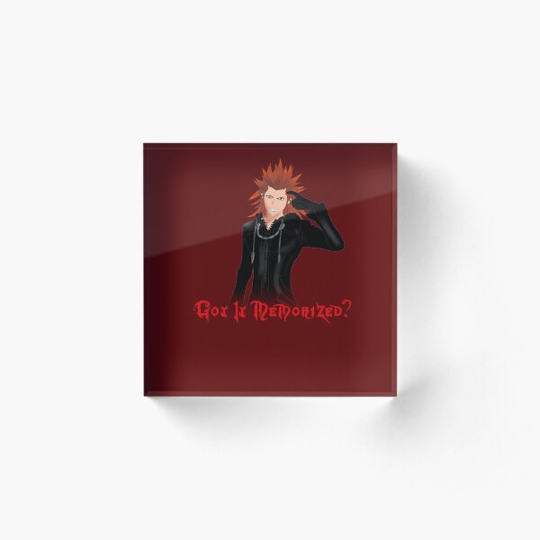 Kingdom Hearts - Axel Acrylic Block