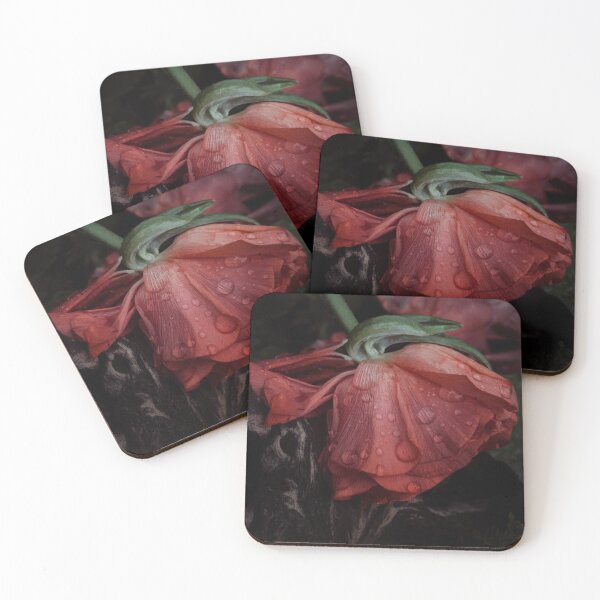 Item preview, Ranunculus in the rain dance designed and sold by Duygu  Tasi.