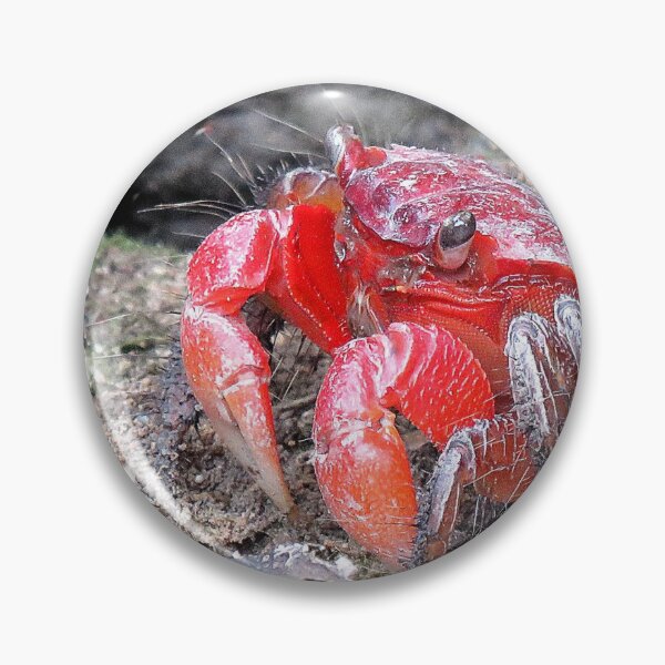 Artikelvorschau, Rote Blumenkrabbe entworfen und verkauft von Linda Walsh.
