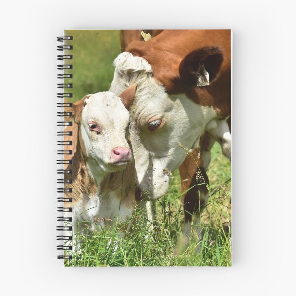 Item preview, Calf with mother designed and sold by Glineur.