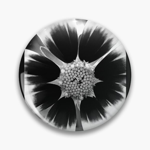 Item preview, Bloom designed and sold by Fitzfoto.