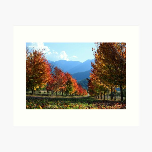 Item preview, Porepunkah - Victorian High Country designed and sold by Emmy Silvius.