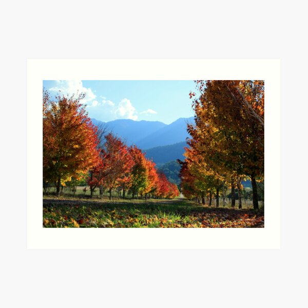 Porepunkah - Victorian High Country Art Print