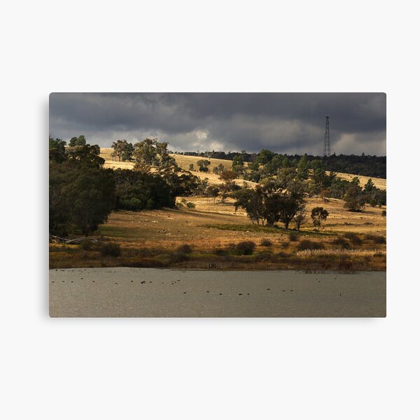 Bogolong Dam at Grenfell Canvas Print