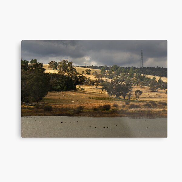 Bogolong Dam at Grenfell Metal Print