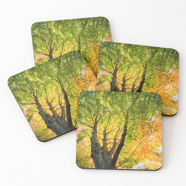 Item preview, Blushing fall designed and sold by LudaNayvelt.