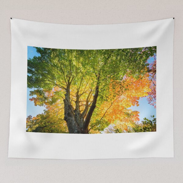 Item preview, Blushing fall designed and sold by LudaNayvelt.