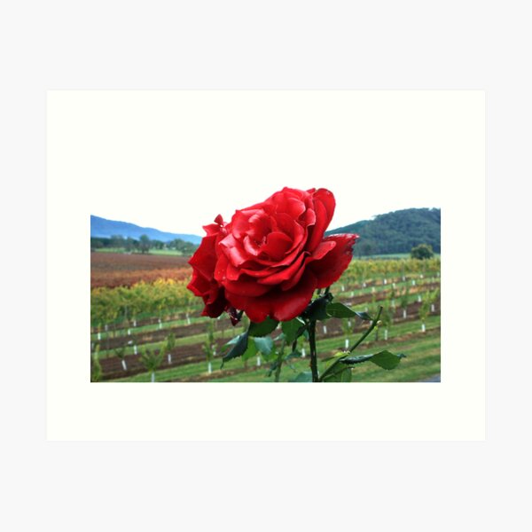 Item preview, Feathertop Winery - Porepunkah Victoria designed and sold by Emmy Silvius.