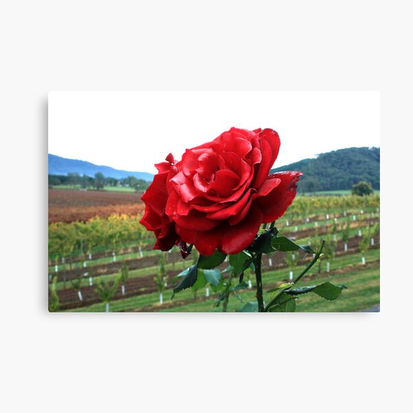 Item preview, Feathertop Winery - Porepunkah Victoria designed and sold by Emmy Silvius.