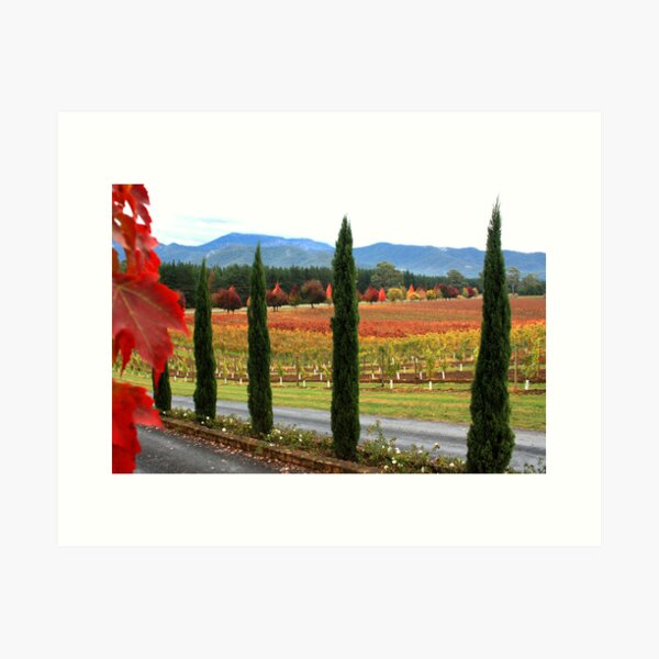 Item preview, Feathertop Winery - Porepunkah Victoria designed and sold by Emmy Silvius.