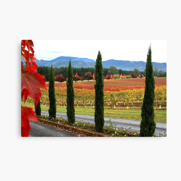 Item preview, Feathertop Winery - Porepunkah Victoria designed and sold by Emmy Silvius.
