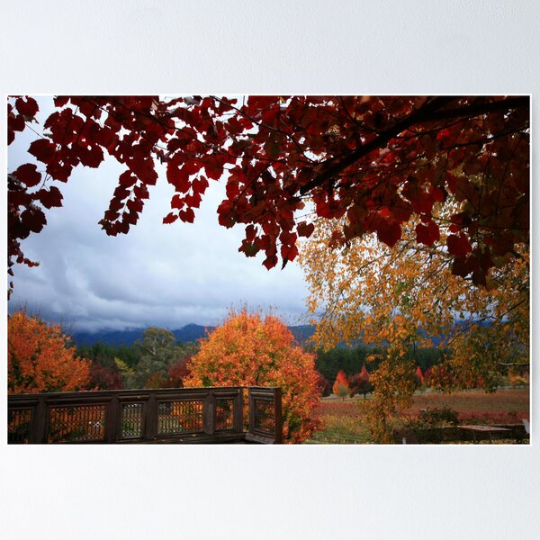 Item preview, Feathertop Winery - Porepunkah Victoria designed and sold by Emmy Silvius.