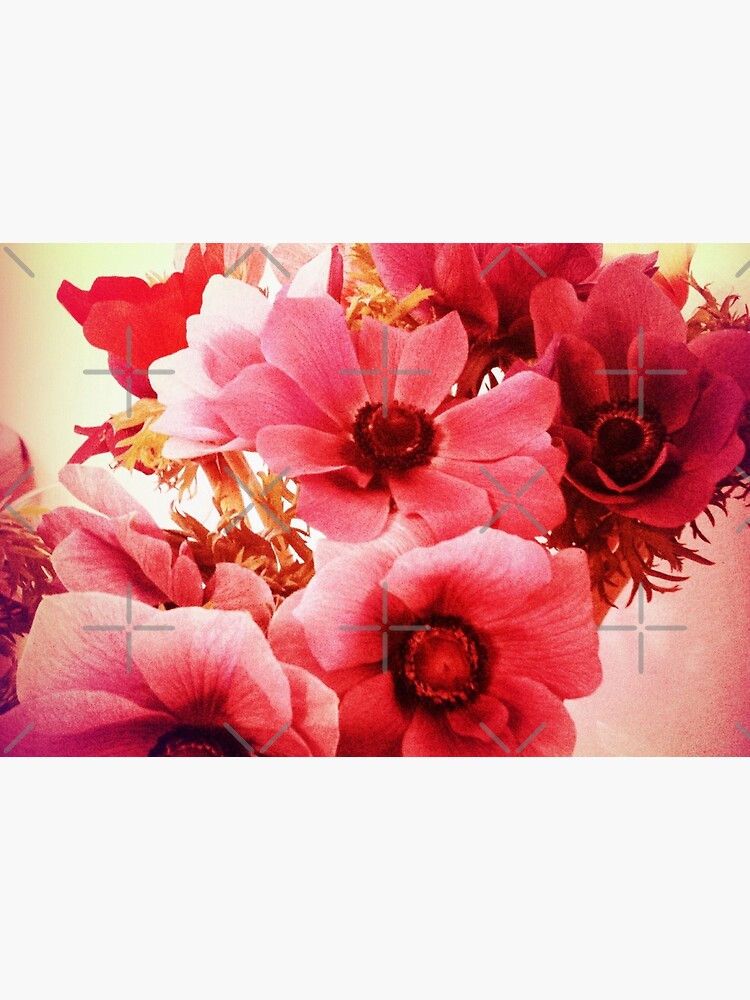 Pink Velvet Floral Art - Pink Flower Design - Romantic by OneDayArt