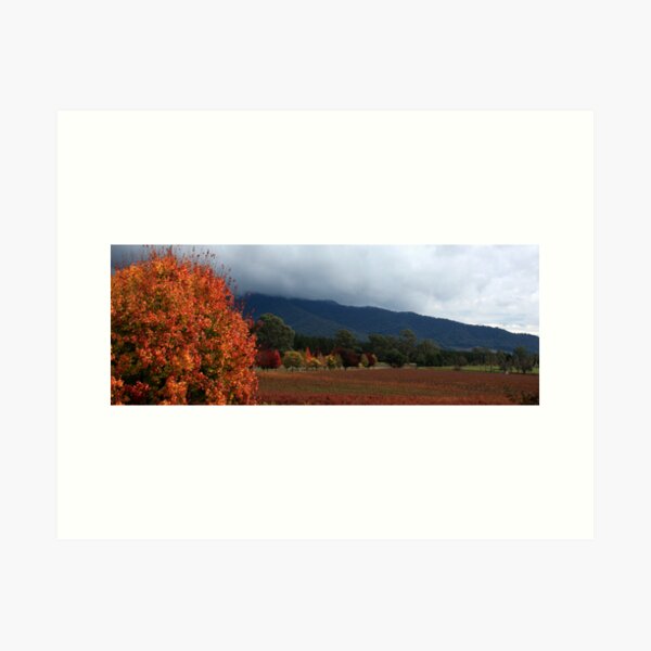 Item preview, Feathertop Winery - Porepunkah Victoria designed and sold by Emmy Silvius.