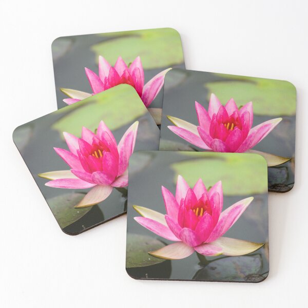 Item preview, Indian lotus flower designed and sold by Gaël FONTAINE.