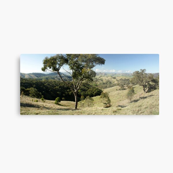 Valley of a Thousand Hills - Strath Creek Victoria Metal Print