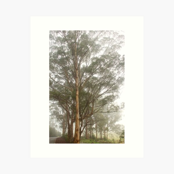 Item preview, Misty Road 30-06-2012 designed and sold by pennyswork.