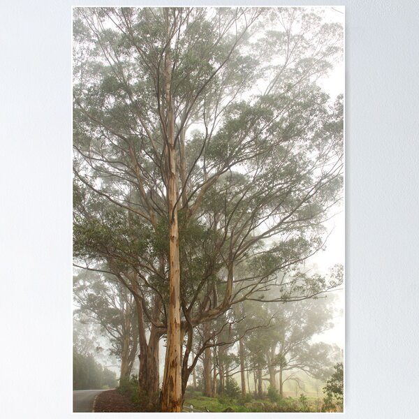 Item preview, Misty Road 30-06-2012 designed and sold by pennyswork.