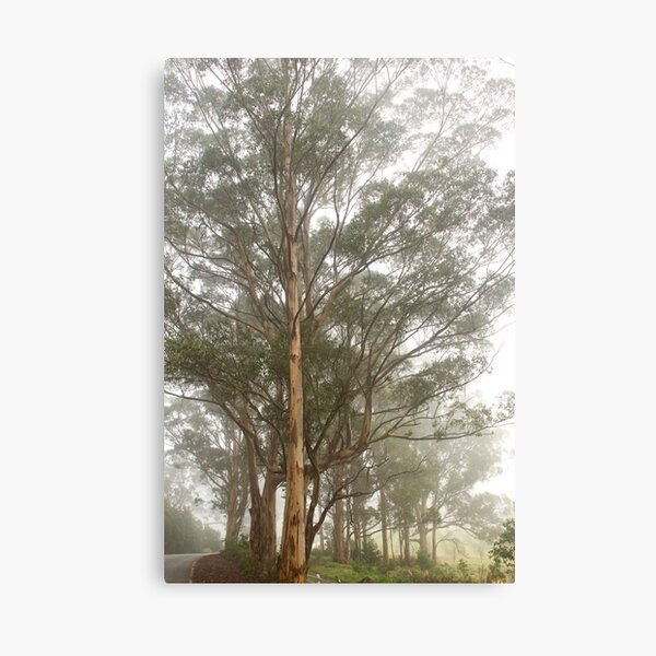 Item preview, Misty Road 30-06-2012 designed and sold by pennyswork.