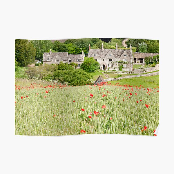 Cotswold Poppy Field Poster