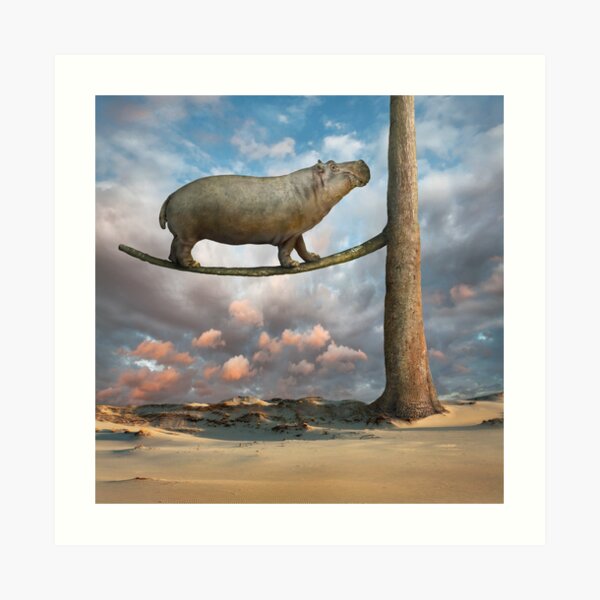 Equilibrium Art Print