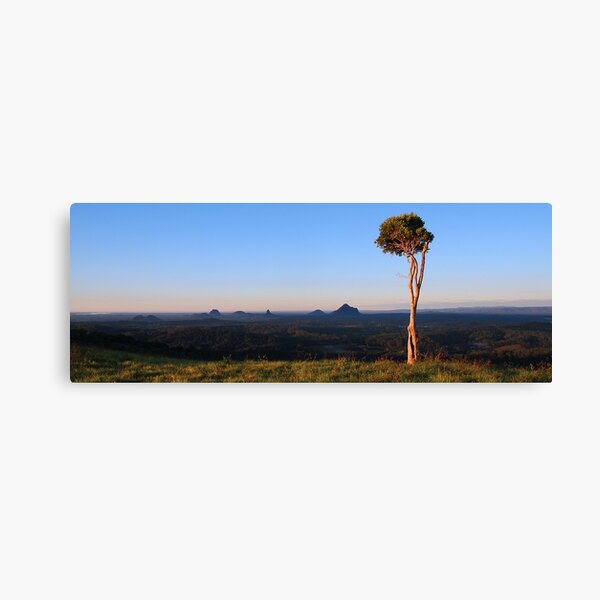 The Glass House Sentinel Canvas Print