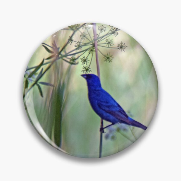 Item preview, Bunting in Blue designed and sold by GerryBuckel.