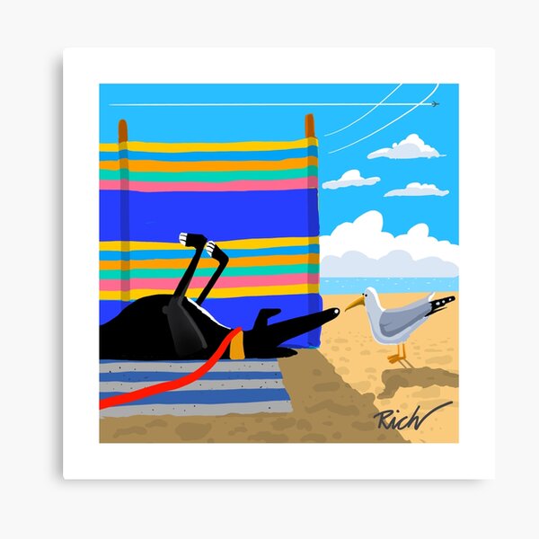 The Seagull Canvas Print