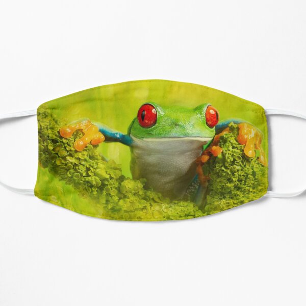 Red eyed tree frog Flat Mask