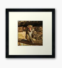 Hello! Framed Print