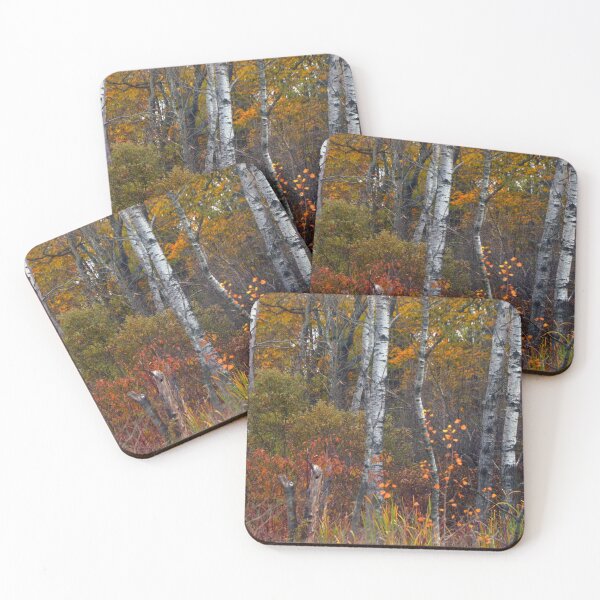 Item preview, Birch trees in the fall designed and sold by GerryBuckel.