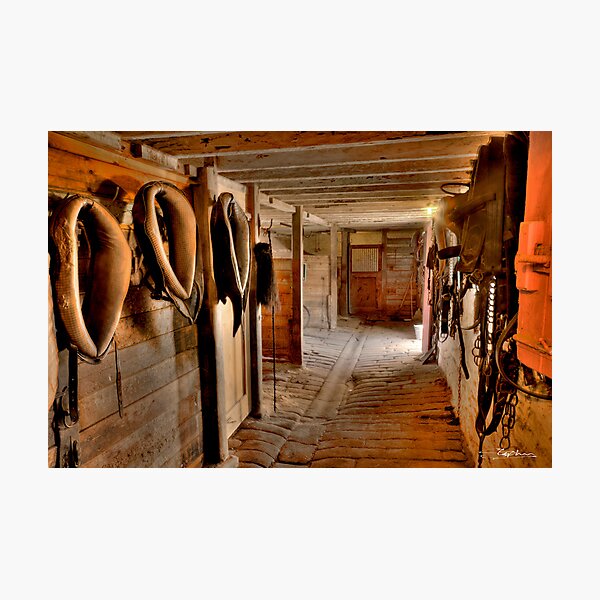 The Victorian Stables (HDR) Photographic Print