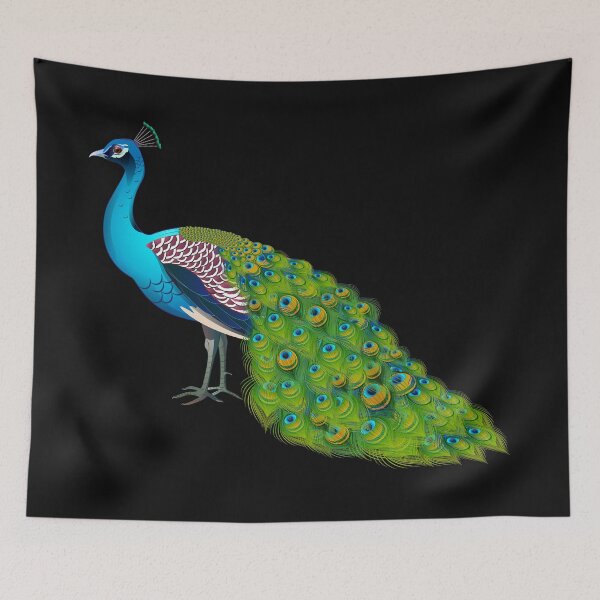 Artikelvorschau, Teal Peacock Graphic entworfen und verkauft von dcohea.