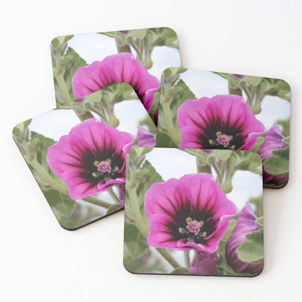 Item preview, Lavatera Clementii Rosea, Tree Mallow designed and sold by dredfell.