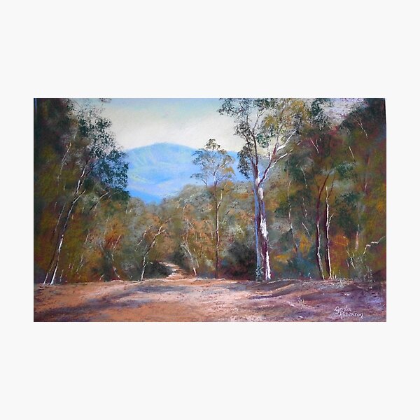 Item preview, 'High Country Track' designed and sold by Lynda Robinson.