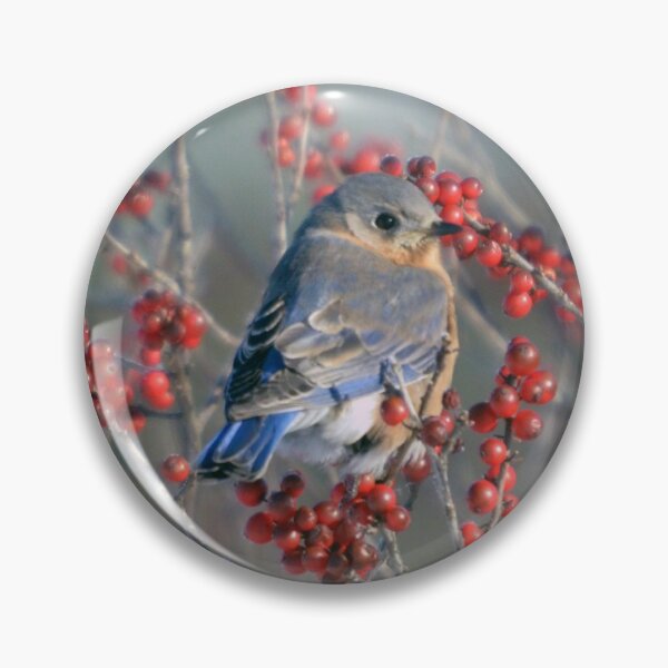 Item preview, Bluebird in berries designed and sold by GerryBuckel.