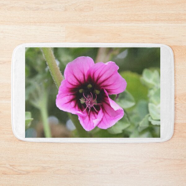 Item preview, Lavatera Clementii Rosea, Tree Mallow 2 designed and sold by dredfell.